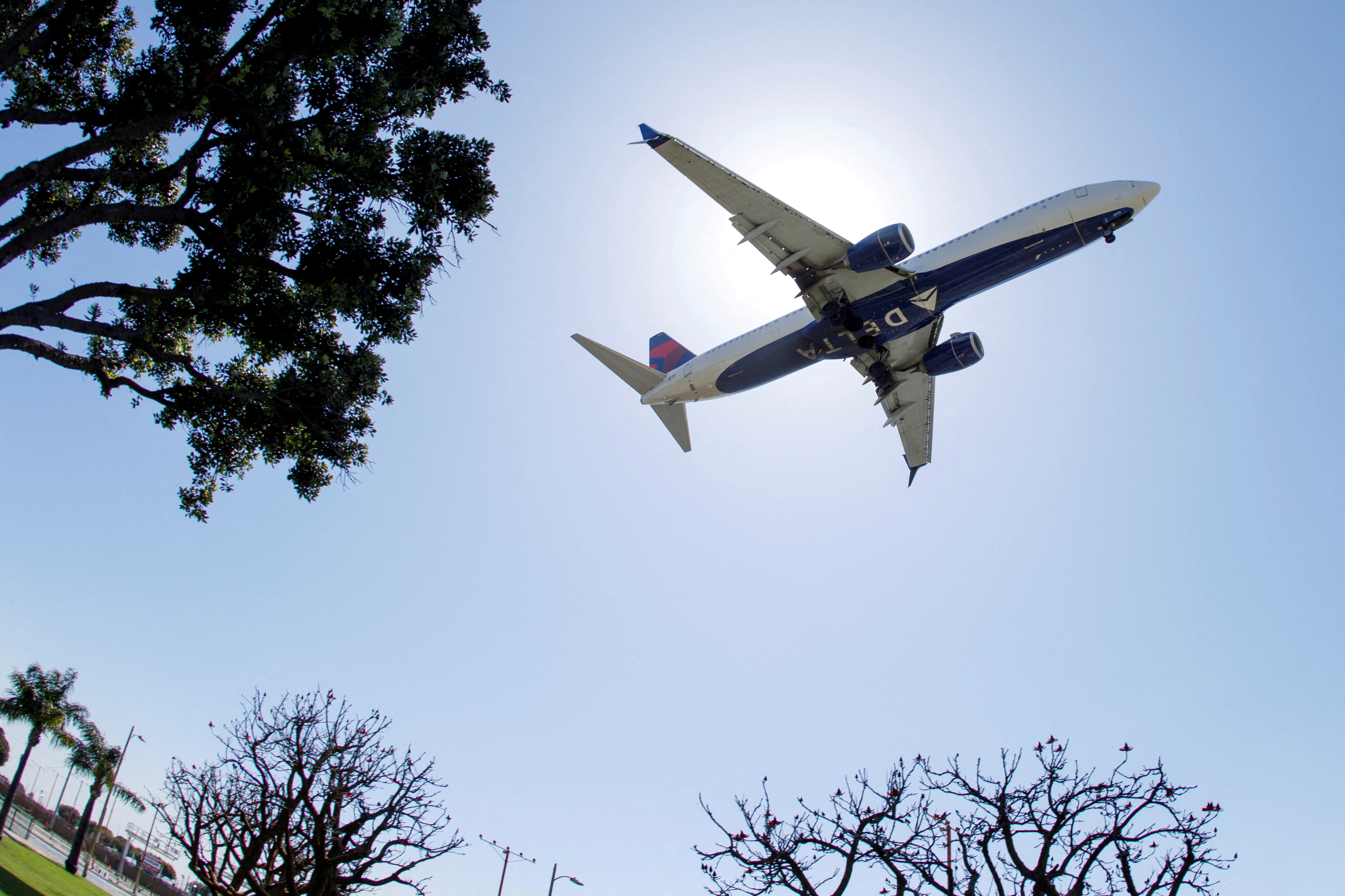 Group of people plane spotting