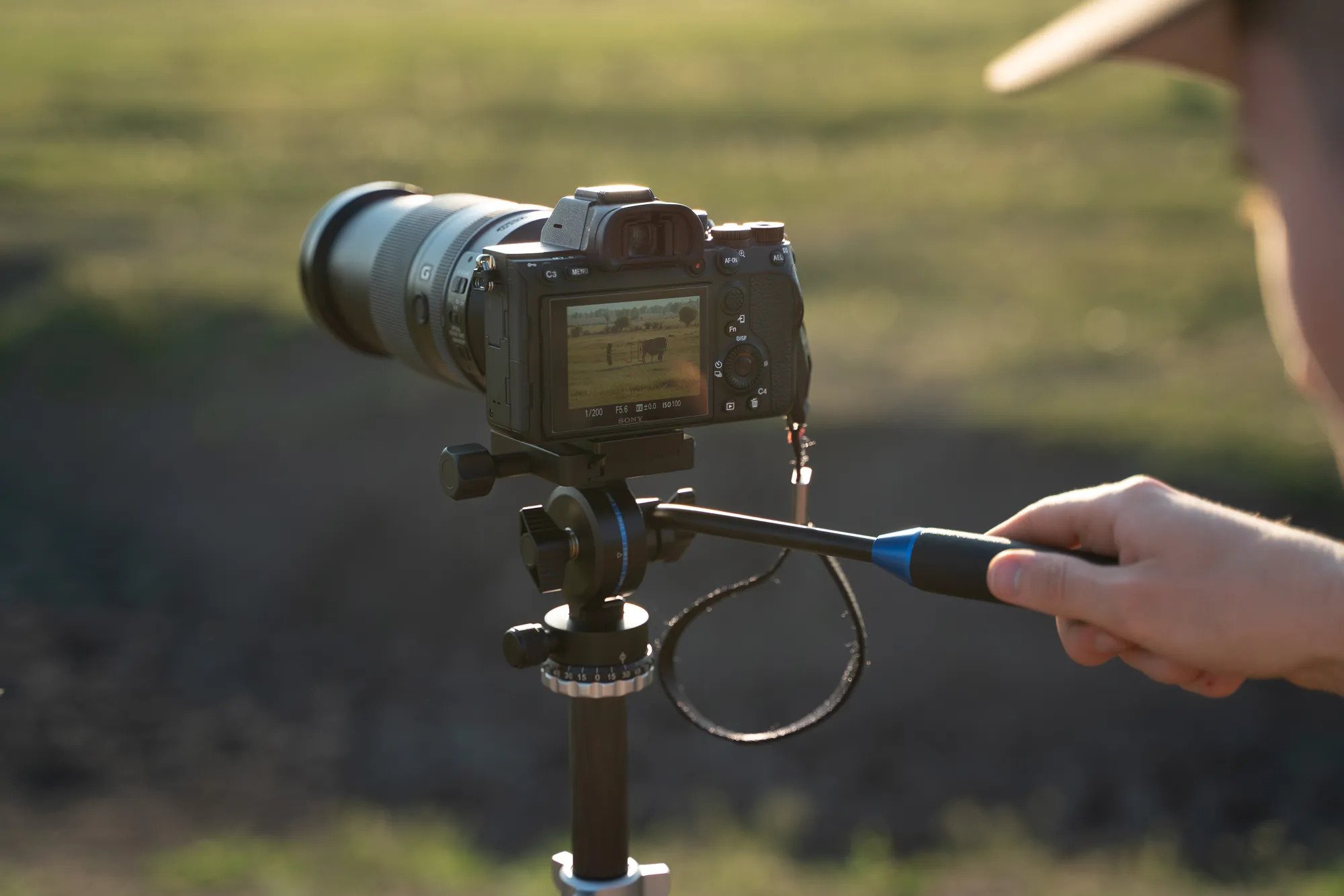 Spotting and photography